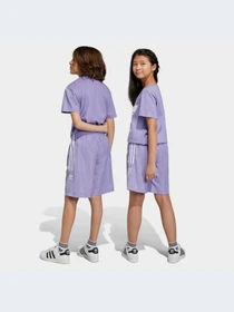 Шорты Adidas Adicolor модель IC6265-KZ Фото