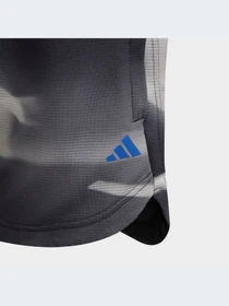 Шорты Adidas модель IC5396-KZ Фото