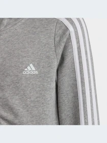 Худи и свитшоты Adidas модель IC3635-KZ Фото