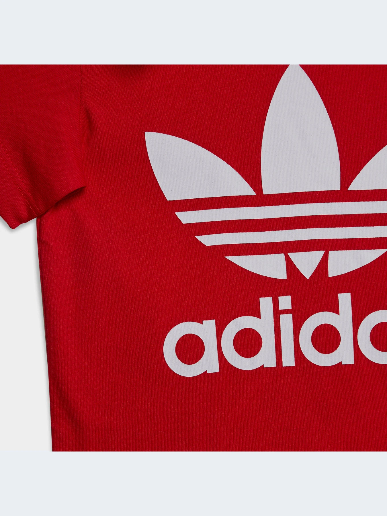 Футболки и поло Adidas Adicolor модель IC6110-KZ Футболки и поло Adidas Adicolor модель IC6110-KZ Фото