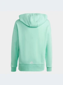 Худи и свитшоты Adidas модель HR5825-KZ Фото