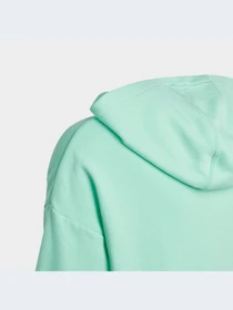 Худи и свитшоты Adidas модель HR5825-KZ Фото