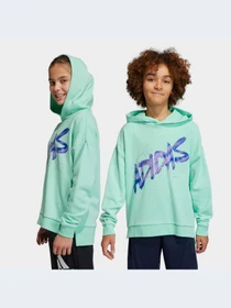 Худи и свитшоты Adidas модель HR5825-KZ Фото