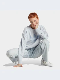 Худи и свитшоты Adidas модель IC2211-KZ Фото