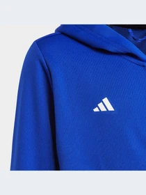 Худи и свитшоты Adidas модель HR6405-KZ Фото