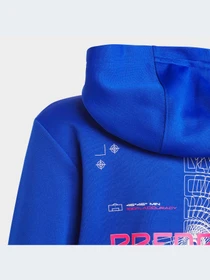 Худи и свитшоты Adidas модель HR6405-KZ Фото