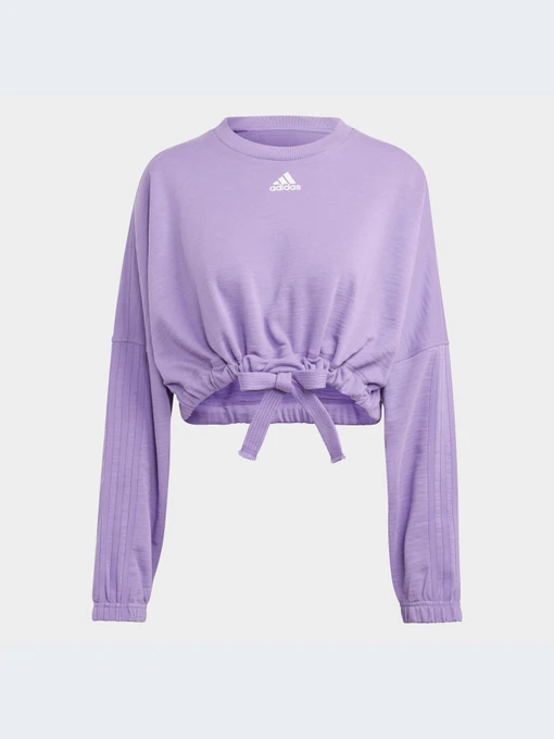 Худи и свитшоты Adidas модель IC6685-KZ Фото