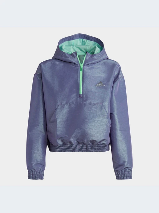 Худи и свитшоты Adidas модель HR5811-KZ Фото