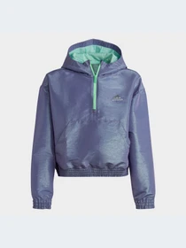 Худи и свитшоты Adidas модель HR5811-KZ Фото