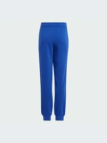 Брюки Adidas модель IJ6301-KZ Фото
