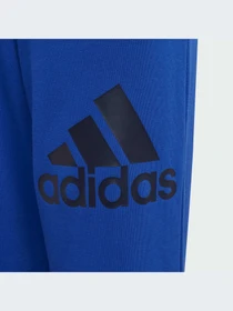 Брюки Adidas модель IJ6301-KZ Фото