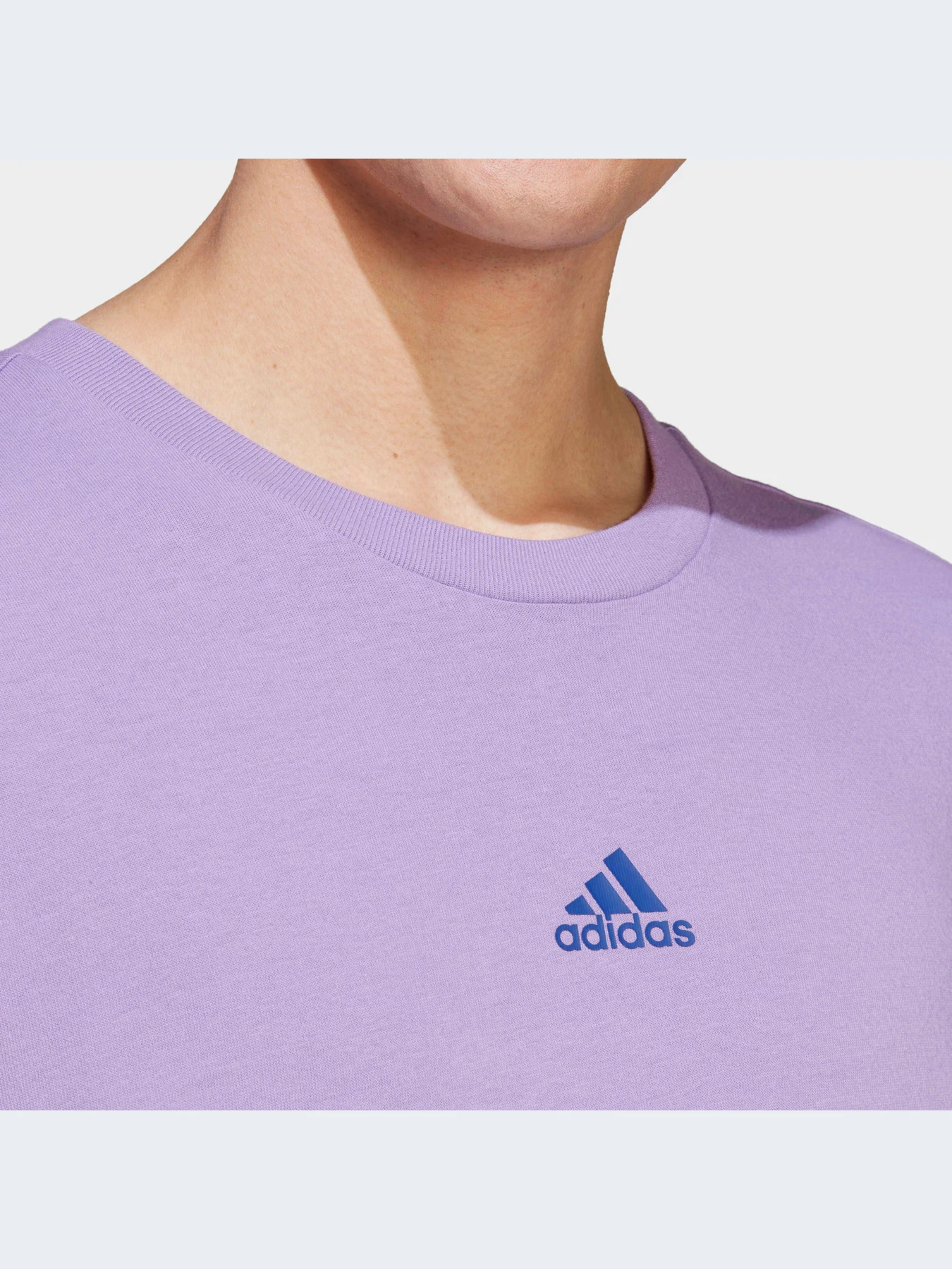 Футболки и поло Adidas модель IC6805-KZ Футболки и поло Adidas модель IC6805-KZ Фото