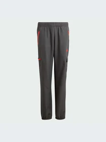 Брюки Adidas модель HR6274-KZ Фото