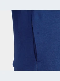 Худи и свитшоты Adidas модель HR6320-KZ Фото