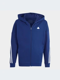 Худи и свитшоты Adidas модель HR6320-KZ Фото