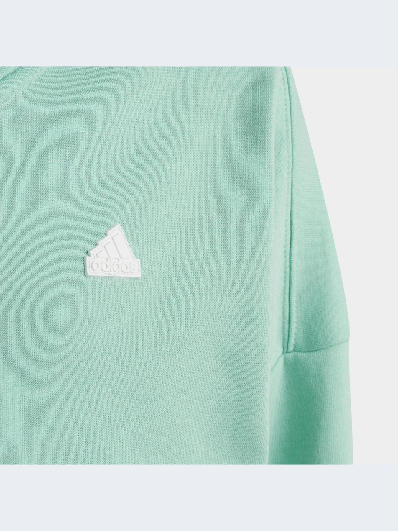 Худи и свитшоты Adidas Icons модель HR6319-KZ Худи и свитшоты Adidas Icons модель HR6319-KZ Фото