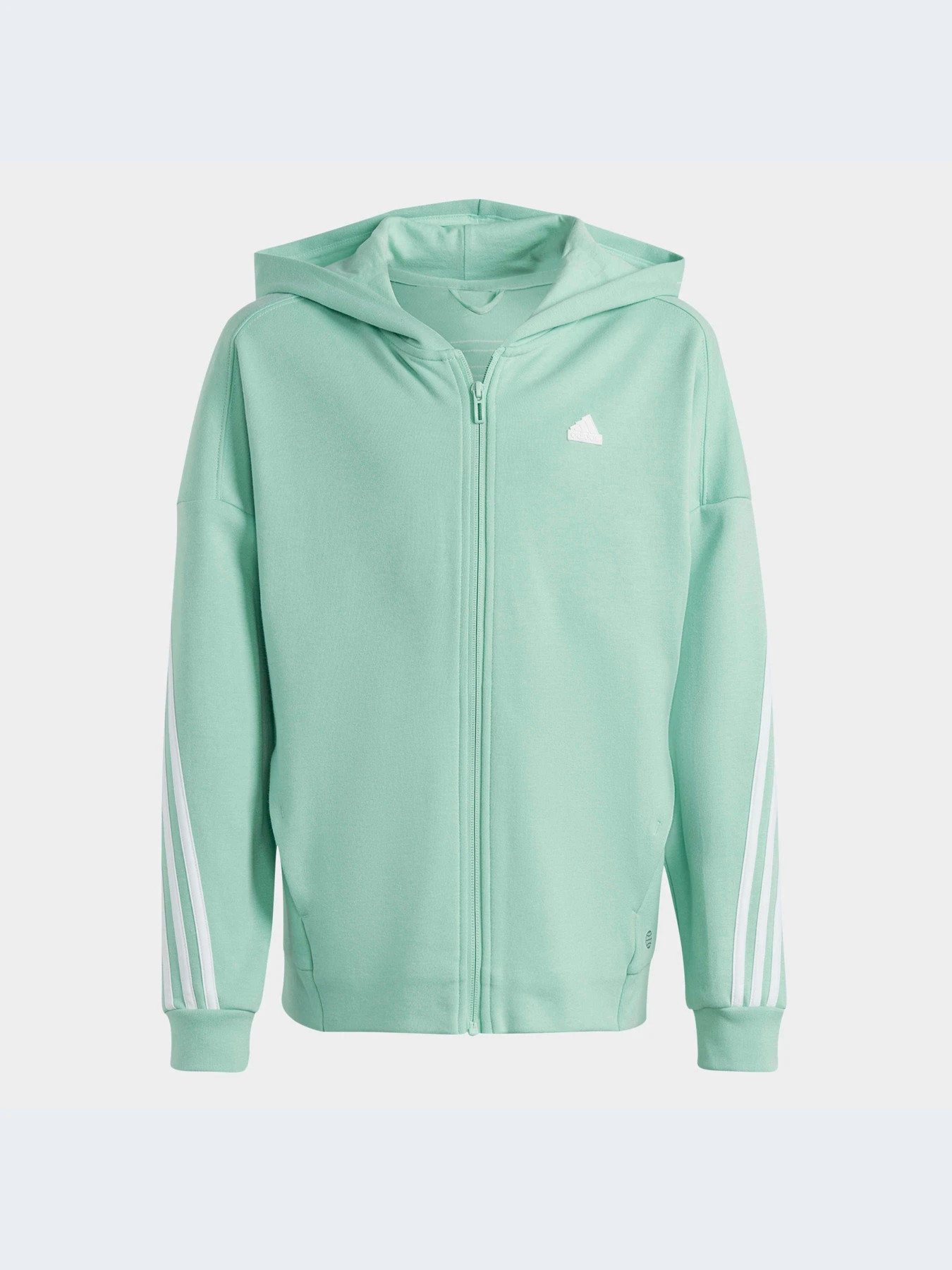 Худи и свитшоты Adidas Icons модель HR6319-KZ Худи и свитшоты Adidas Icons модель HR6319-KZ Фото