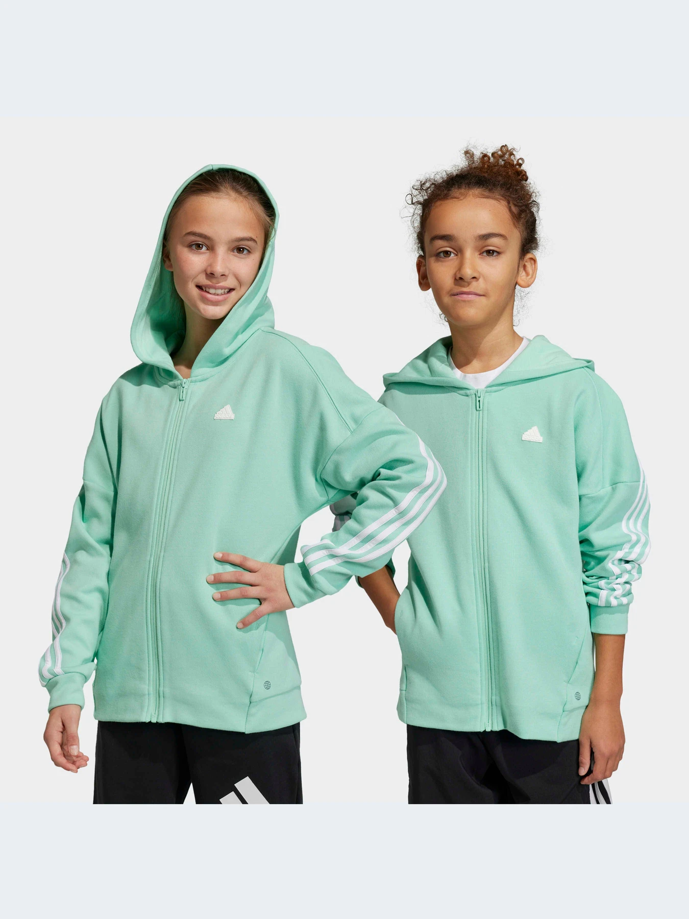 Худи и свитшоты Adidas Icons модель HR6319-KZ Худи и свитшоты Adidas Icons модель HR6319-KZ Фото
