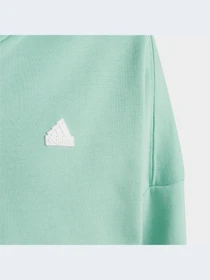 Худи и свитшоты Adidas Icons модель HR6319-KZ Фото