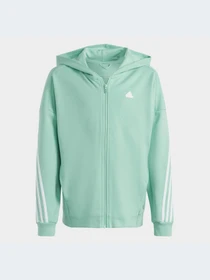 Худи и свитшоты Adidas Icons модель HR6319-KZ Фото