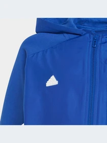 Худи и свитшоты Adidas модель HR6277-KZ Фото