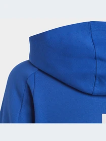 Худи и свитшоты Adidas модель HR6277-KZ Фото