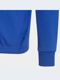 Худи и свитшоты Adidas модель HR6277-KZ Фото