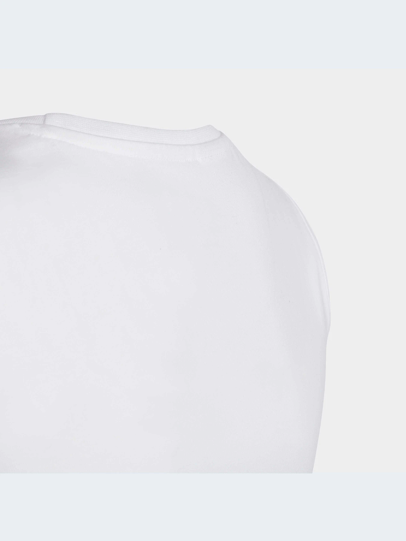 Футболки и поло Adidas Adicolor модель IC3129-KZ Футболки и поло Adidas Adicolor модель IC3129-KZ Фото