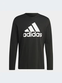 Худи и свитшоты Adidas модель IC9308-KZ Фото