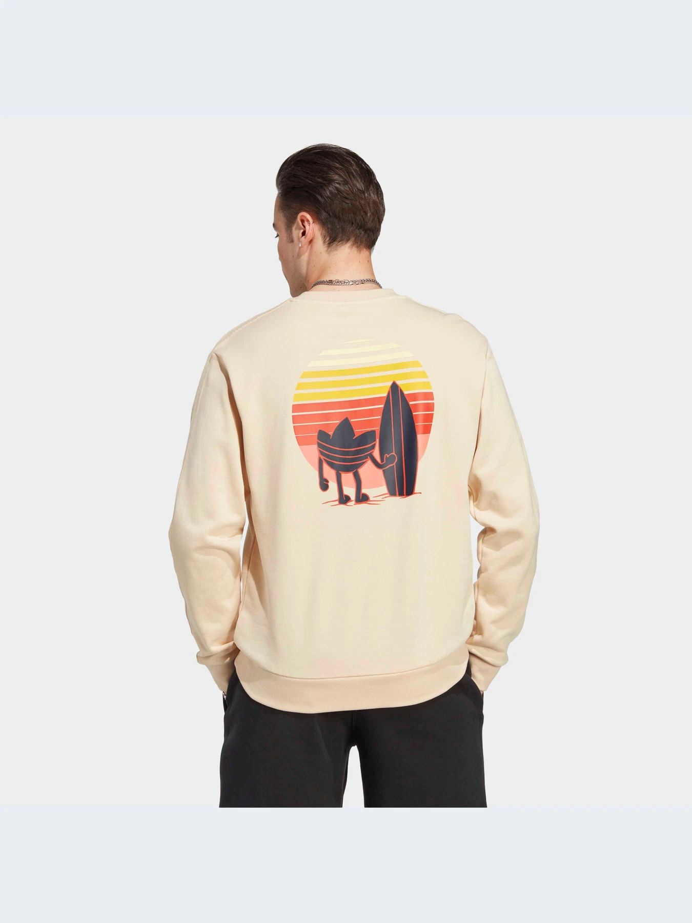 Худи и свитшоты Adidas Graphics модель IC8862-KZ Худи и свитшоты Adidas Graphics модель IC8862-KZ Фото
