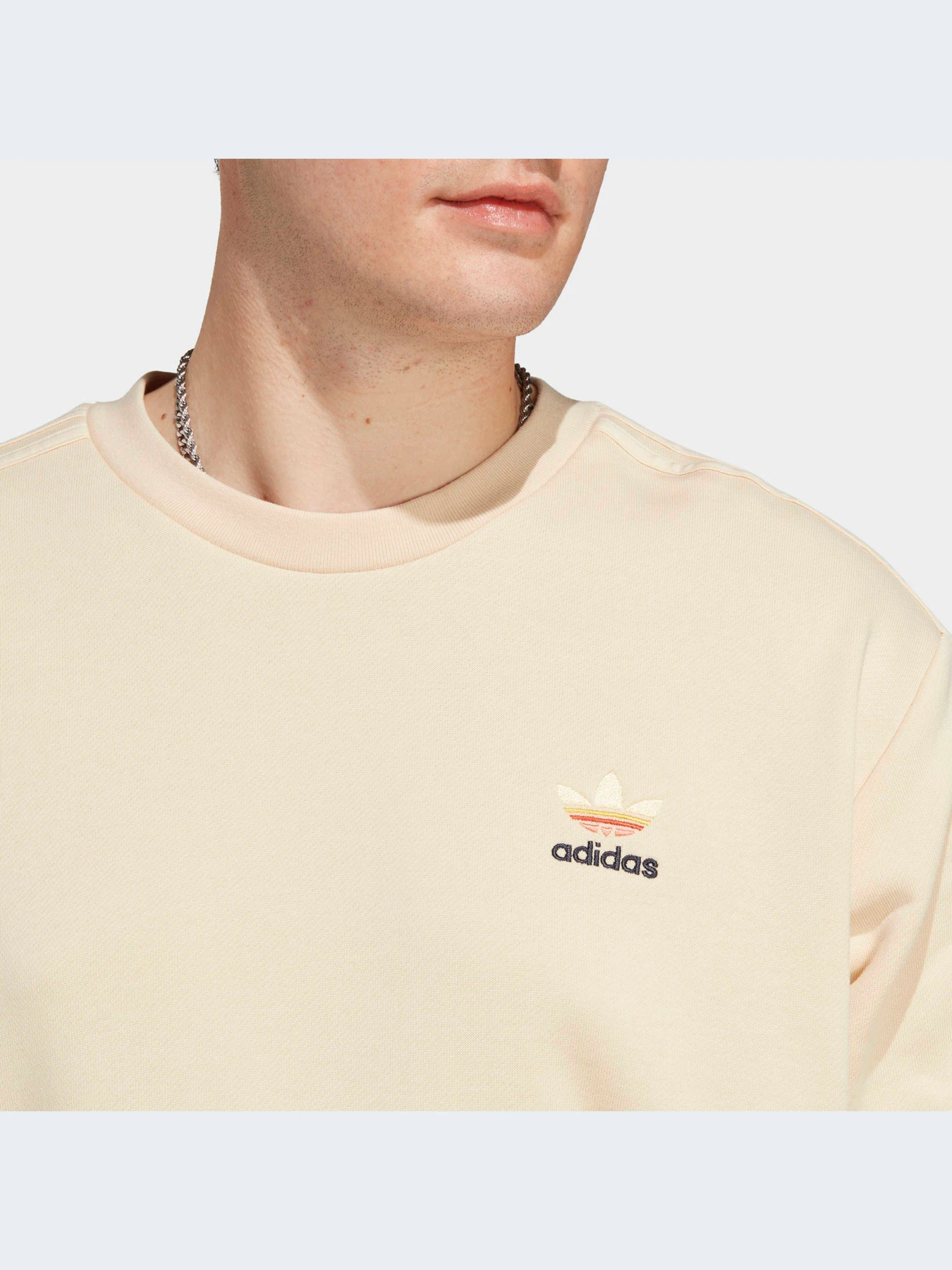 Худи и свитшоты Adidas Graphics модель IC8862-KZ Худи и свитшоты Adidas Graphics модель IC8862-KZ Фото