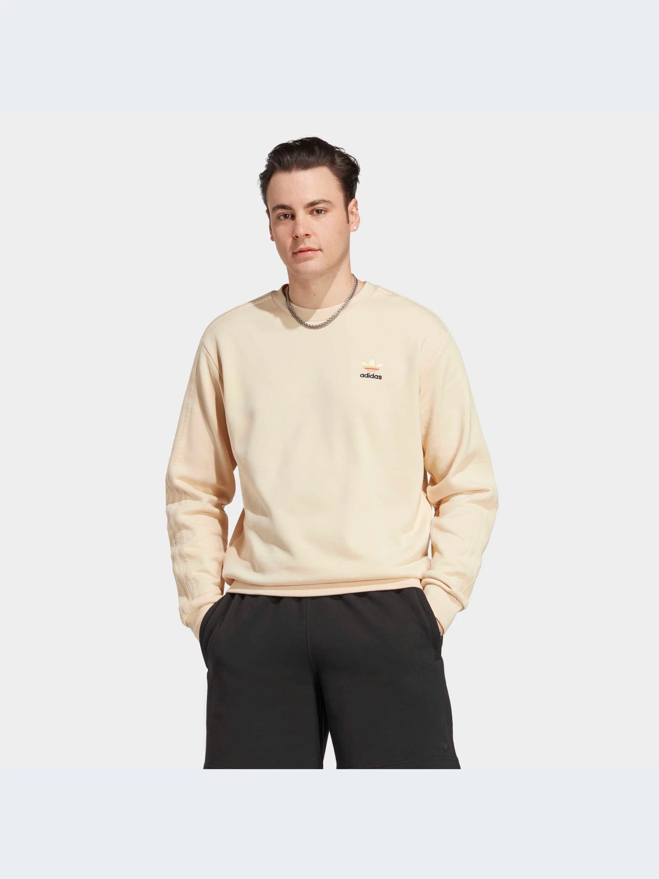 Худи и свитшоты Adidas Graphics модель IC8862-KZ Худи и свитшоты Adidas Graphics модель IC8862-KZ Фото