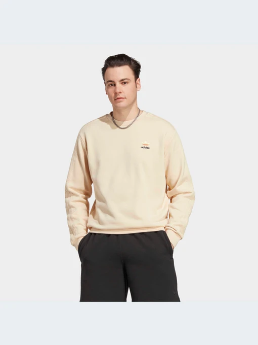 Худи и свитшоты Adidas Graphics модель IC8862-KZ Фото
