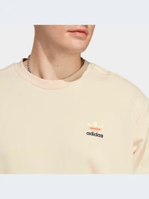 Худи и свитшоты Adidas Graphics модель IC8862-KZ Фото