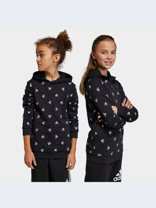 Худи и свитшоты Adidas модель HR6344-KZ Фото