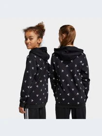 Худи и свитшоты Adidas модель HR6344-KZ Фото