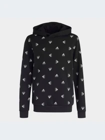 Худи и свитшоты Adidas модель HR6344-KZ Фото