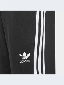 Шорты Adidas Adicolor модель H32342-KZ Фото