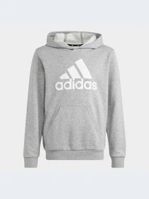 Худи и свитшоты Adidas модель IC6835-KZ Фото