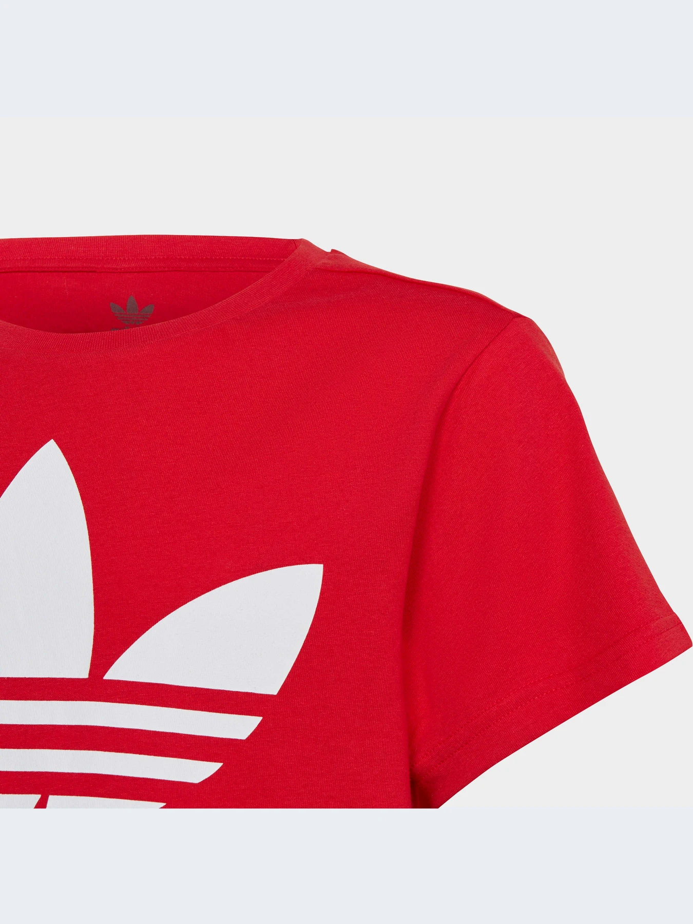 Футболки и поло Adidas Adicolor модель IB9929-KZ Футболки и поло Adidas Adicolor модель IB9929-KZ Фото