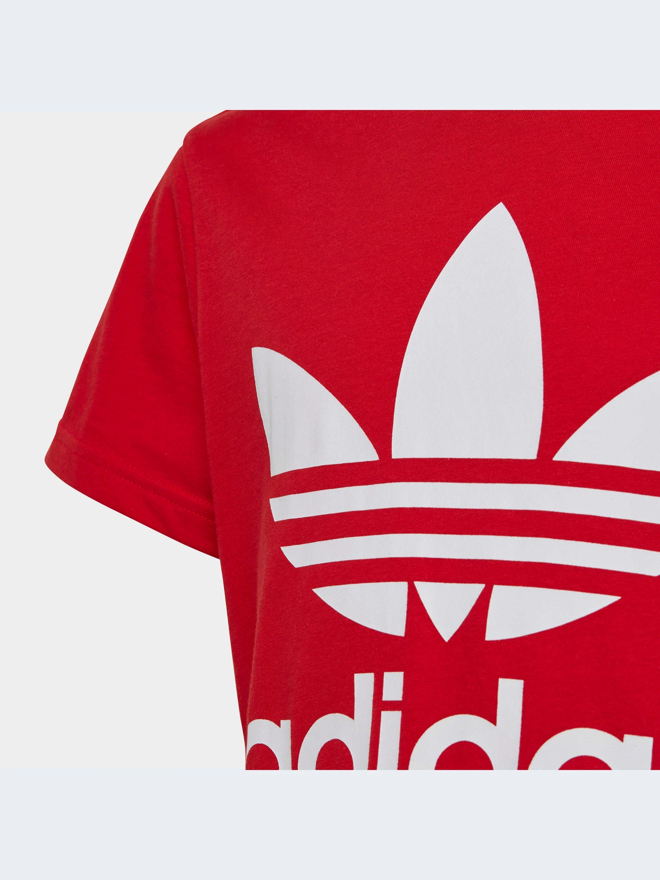 Футболки и поло Adidas Adicolor модель IB9929-KZ Футболки и поло Adidas Adicolor модель IB9929-KZ Фото