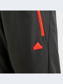 Шорты Adidas модель HR6275-KZ Фото