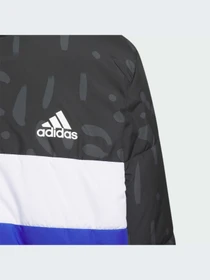 Куртки и дубленки Adidas модель IL6097-KZ Фото