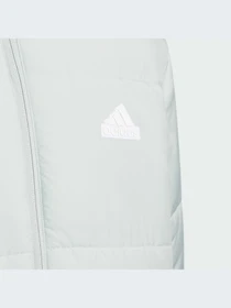 Куртки и дубленки Adidas модель IK7196-KZ Фото