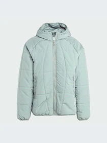 Куртки и дубленки Adidas Adventure модель IL2581-KZ Фото