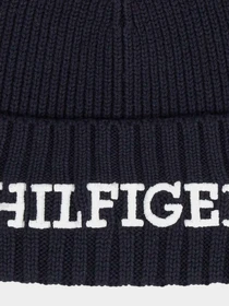 Шапки и кепки Tommy Hilfiger модель AM0AM11737-DW6 Фото