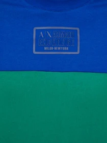 Футболки и поло Armani Exchange модель 6RZMHL-ZJDHZ-65AP Фото