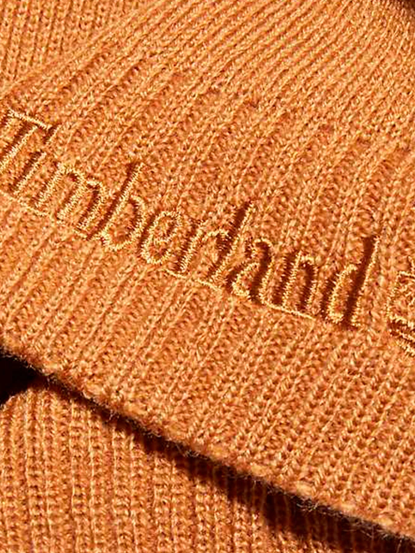 Шапки и кепки Timberland модель TB0A1EGX231 Шапки и кепки Timberland модель TB0A1EGX231 Фото
