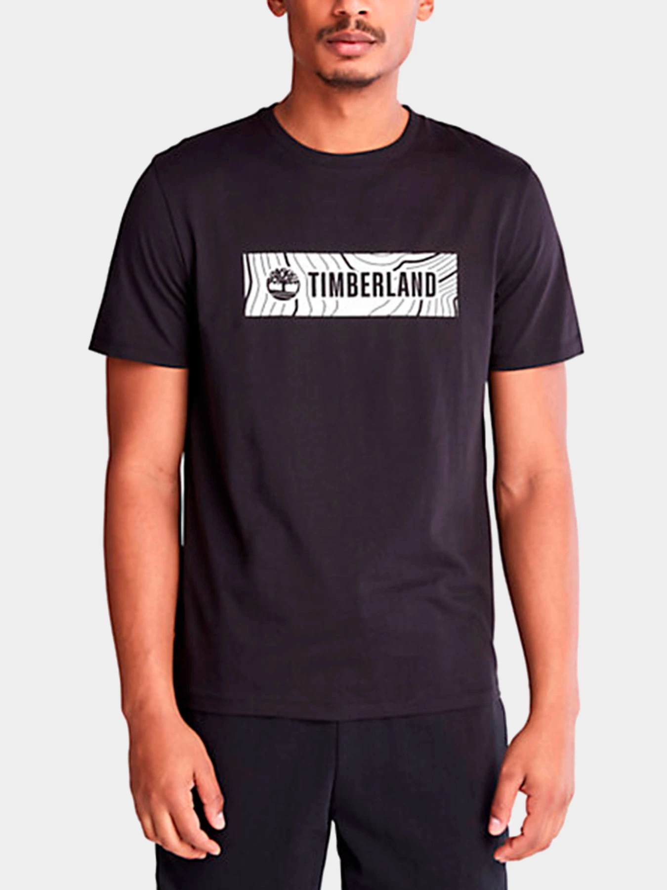Футболки и поло Timberland модель TB0A5R1R001 Футболки и поло Timberland модель TB0A5R1R001 Фото