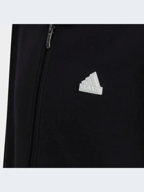 Худи и свитшоты Adidas Icons модель HR6317-KZ Фото